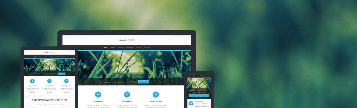 Arcana website template preview