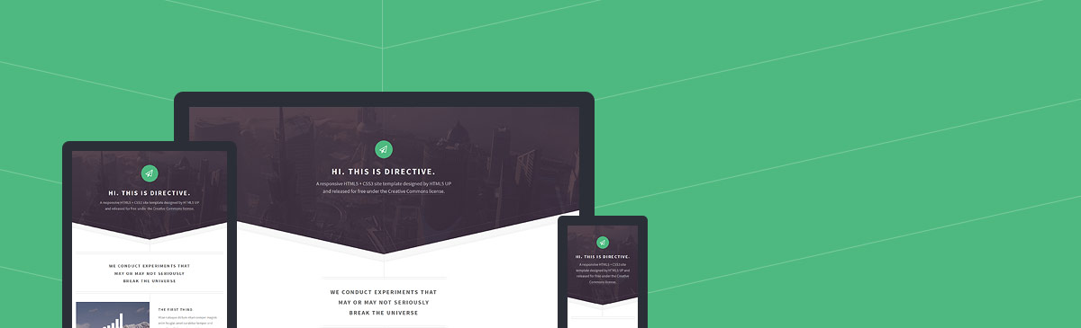 Directive website template preview