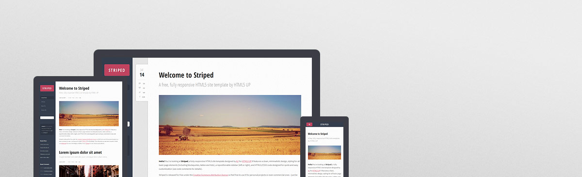Striped website template preview